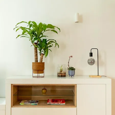 Casa Porta Metronia شقة